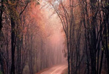 扳回一个！卡赫胡德球员射门，皮球击中奥贾米变线后入网.