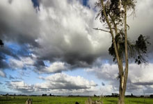 相当炸裂！44岁的小罗就要当爷爷了！.