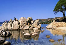 相当炸裂!44岁的小罗就要当爷爷了!.